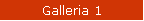 Galleria 1