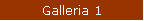 Galleria 1